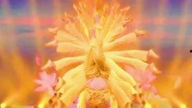 一级视频舞蹈大全,舞动人生，尽享舞蹈魅力